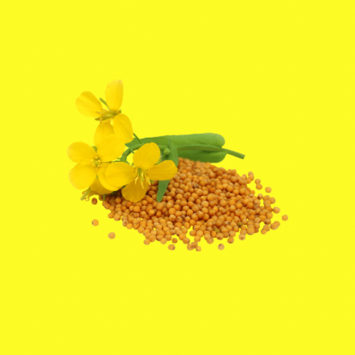 Boosts scalp health and promotes hair growth.