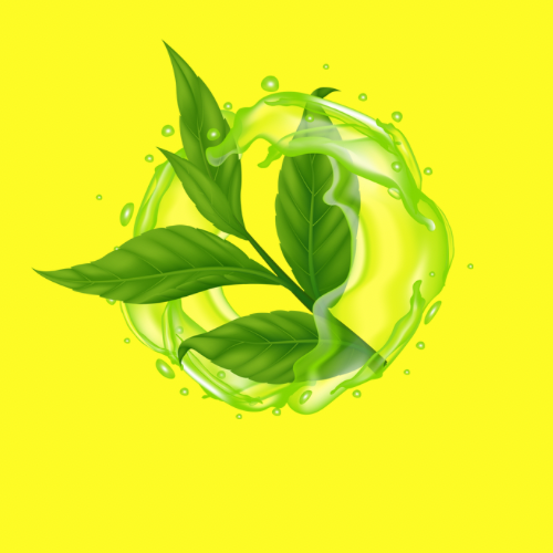 Antioxidant-rich, protects hair from damage and promotes shine.