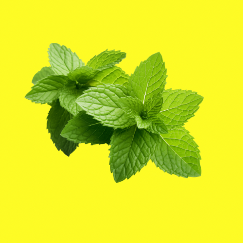 Provides a cooling effect and stimulates scalp circulation.
